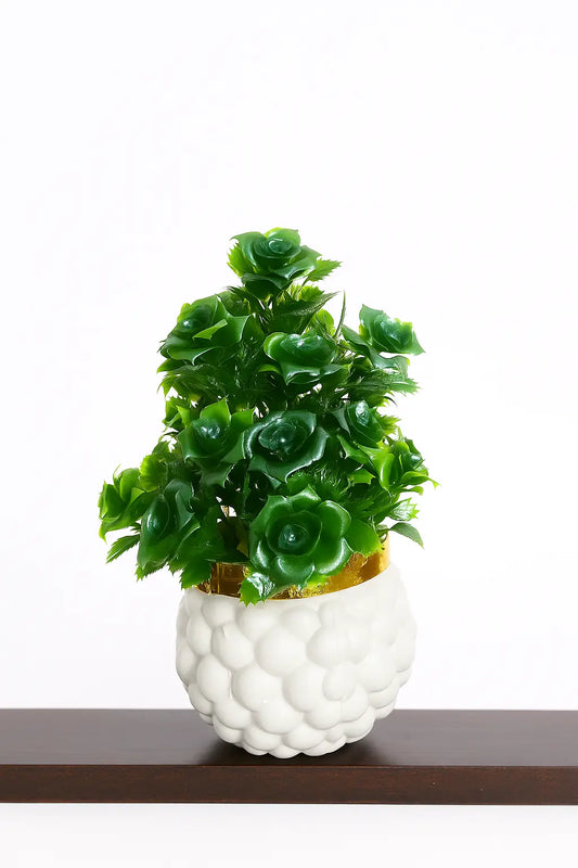 "Premium Decorative Plant – Elegant & Long-Lasting"